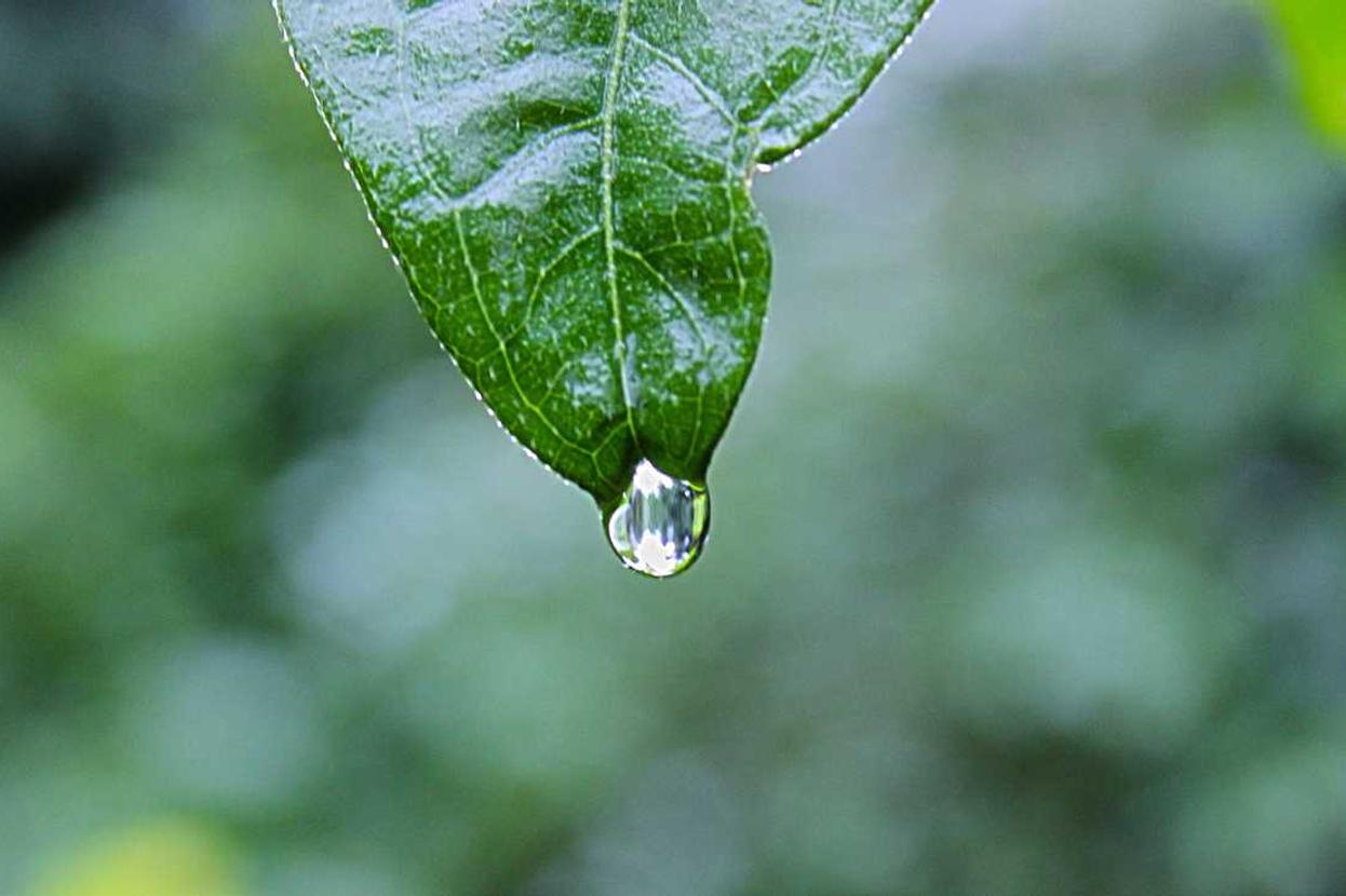 Tempore numquam eum veritatis